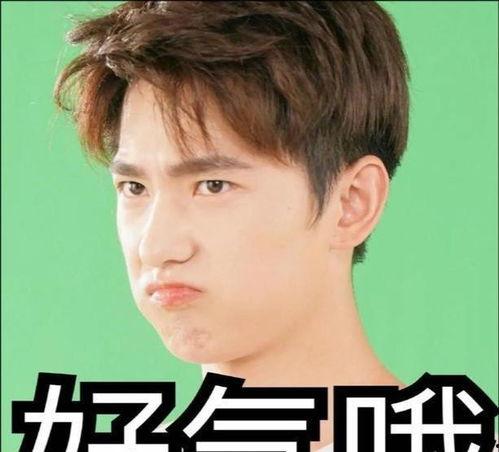 吃瓜少女张小寒娱乐圈